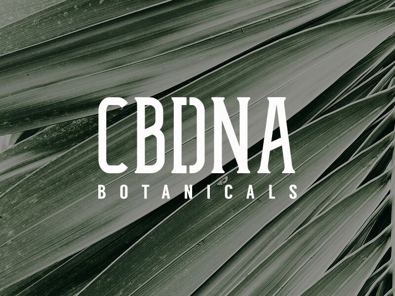 why workshop cannabis branding cbdna skin care