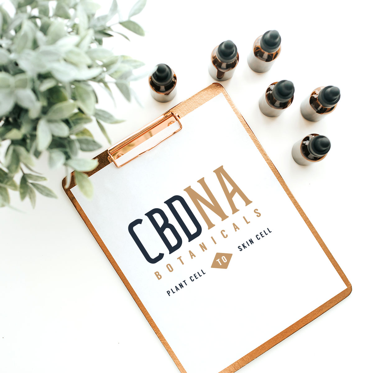 cbdna branding by why workshop agency in Las Vegas