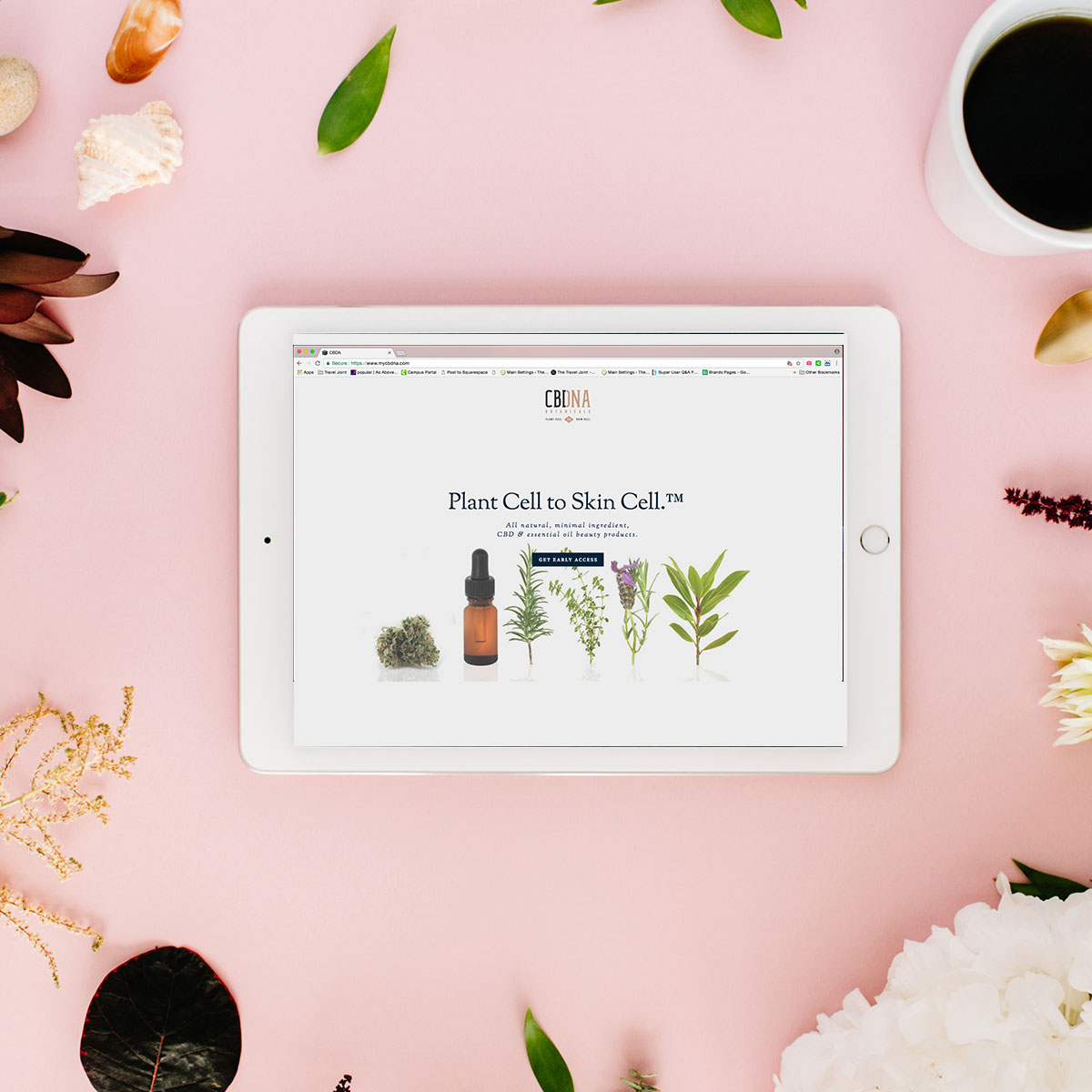 CBDNA design by why workshop agency in Las Vegas